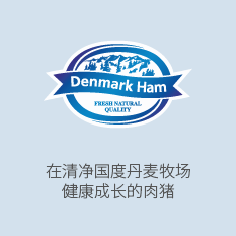 Denmark Ham